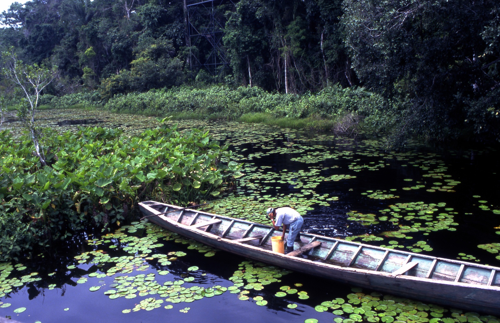 Amazon, Puerto Maldonado